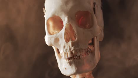 Video-Der-Nahaufnahme-Eines-Halloween-Schädels-Und--Skeletts-Und-Kopierraum-Auf-Schwarzem-Hintergrund
