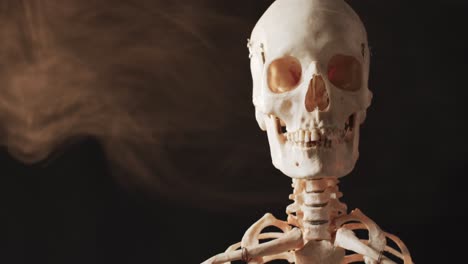 Vídeo-De-Primer-Plano-Del-Esqueleto-De-Halloween-Y-Espacio-De-Copia-Sobre-Fondo-Negro