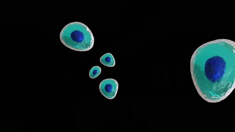Animation-of-micro-of-blue-and-turquoise-cells-on-black-background