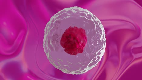 Animation-of-micro-of-red-and-pink-cells-over-pink-background