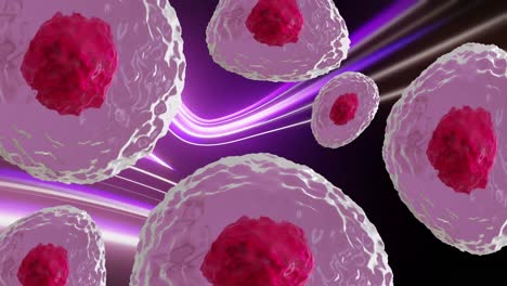 Animation-of-micro-of-red-and-pink-cells-over-purple-light-trails-background