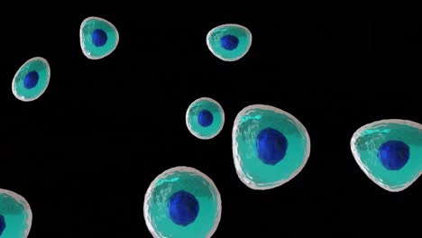 Animation-of-micro-of-blue-and-turquoise-cells-on-black-background