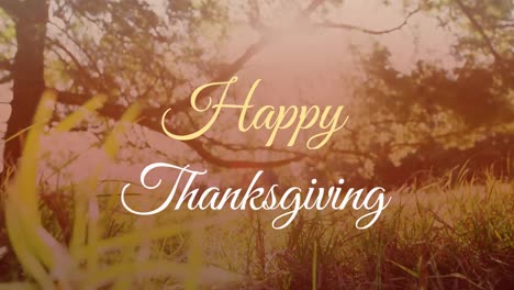 Animation-of-happy-thanksgiving-text-banner-against-close-up-view-of-grass-in-the-park
