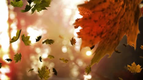Animation-Von-Fallenden-Herbstblättern-Vor-Verschwommener-Sicht-Auf-Den-Waldpark-Mit-Kopierraum