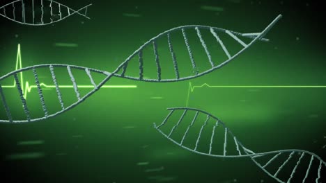 Rotating-dna-strands-over-green-heartbeat-monitor-and-processing-data