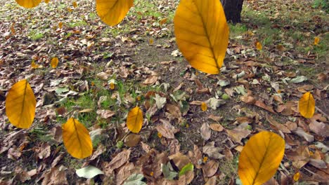 Animation-of-autumn-leaves-falling-against-close-up-view-of-fallen-leaves-on-the-ground