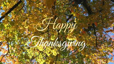 Animation-of-happy-thanksgiving-text,-autumn-leaves-falling-against-low-angle-view-of-trees-and-sky