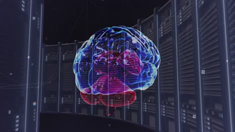Animation-Des-Menschlichen-Gehirns-über-Computerserver