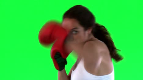 Mujer-Joven-Atlética-Boxeo