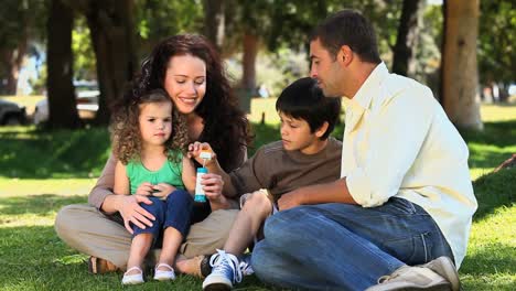 Cute-family-enjoying-bubbles-sitting-on-the-grass