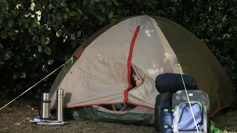 Familiencamping-In-Einem-Zelt
