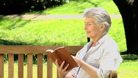 Old-woman-reading-a-book-on-a-bench