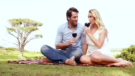 Happy-couple-toasting-and-drinking-red-wine