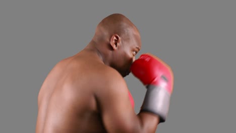 Ernsthafter-Muskulöser-Boxer-Beim-Üben