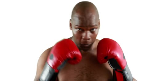 Serious-muscular-boxer-with-gloves-practising