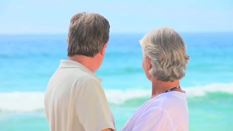 Mature-couple-looking-at-the-sea