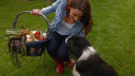 Pretty-young-woman-with-a-basket-of-vegetables-petting-a-dog