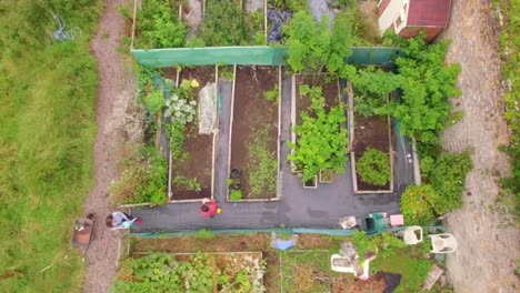 Drone-footage-of-couple-gardening-