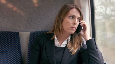 Geschäftsfrau-Telefoniert-Im-Zug
