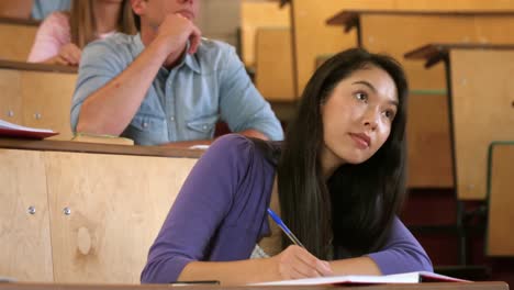 Concentrated-student-during-lesson-smiling-at-camera