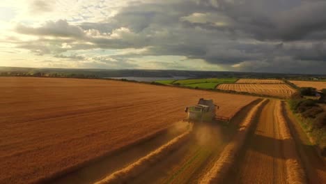 Drone-footage-of-golden-fields-and-combine-harvester