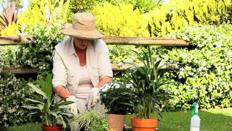 Mature-woman-tending-to-her-plants