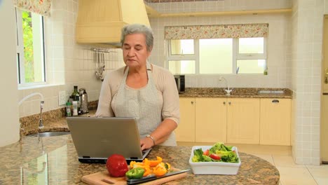 Rentnerin-Sucht-Auf-Ihrem-Laptop-Nach-Einem-Rezept