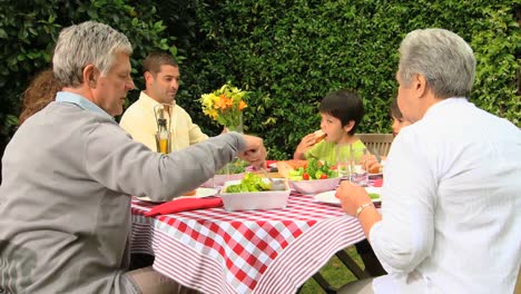 Family-lunch-in-the-garden