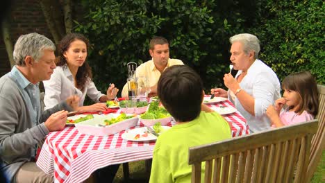 Almuerzo-Familiar-Con-Los-Abuelos-En-El-Jardín.