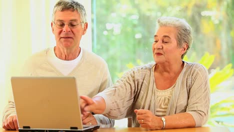 Älteres-Ehepaar,-Das-Einen-Laptop-Benutzt