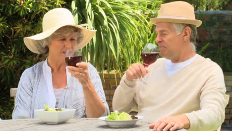 Mature-couple-enjoying-red-wine-outdoors