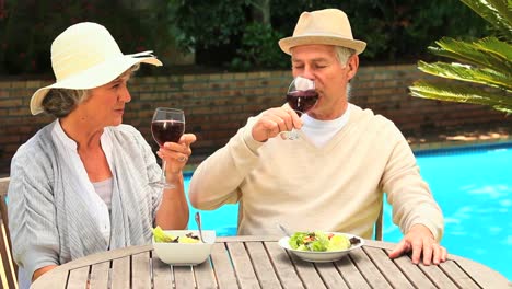 Mature-couple-enjoying-wine-with-their-lunch-outdoors