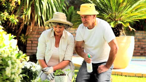 Mature-couple-working-in-the-garden