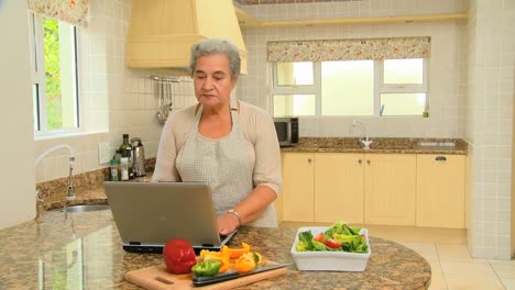 Ältere-Frau-Sucht-Auf-Einem-Laptop-Nach-Einem-Rezept