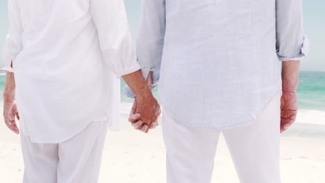Old-retired-couple-embracing-each-other
