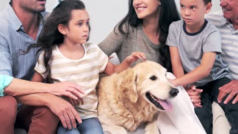 Cute-family-petting-a-dog-in-the-living-room