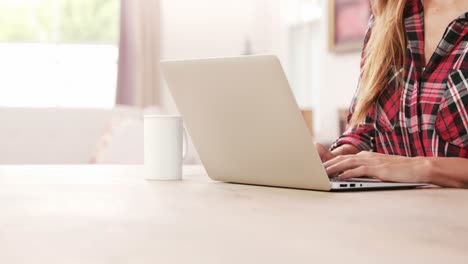 Midsection-of-a-woman-using-laptop-while-drinking-coffee