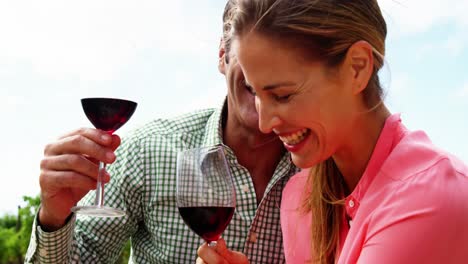 Happy-couple-laughing-while-having-a-glass-of-wine-in-field