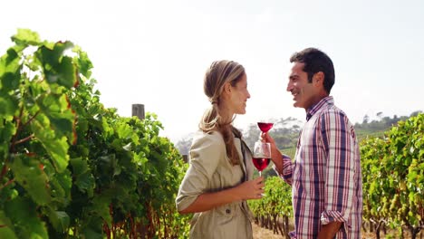 Happy-couple-talking-while-having-a-glass-of-red-wine-in-field