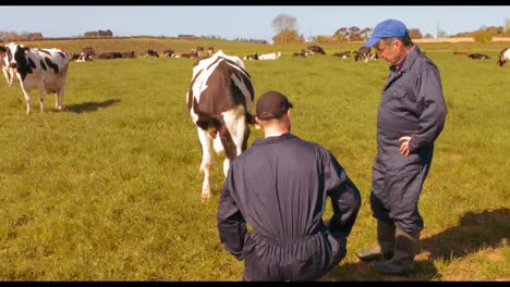 Zwei-Viehzüchter-Interagieren-Auf-Dem-Feld-Miteinander
