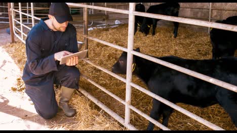 Viehzüchter-Nutzt-Digitales-Tablet
