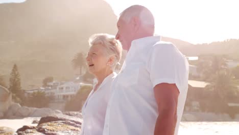 Elderly-couple-walking-and-discussing-on-the-beach