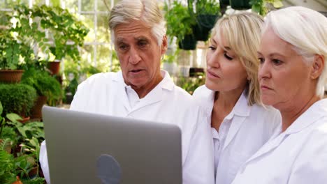 Scientists-having-discussion-on-laptop