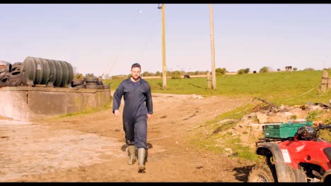 Cattle-farmer-walking