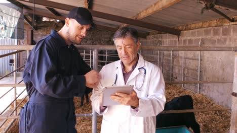 Cattle-farmer-and-veterinary-physician-interacting-with-each-other-while-using-digital-tablet-