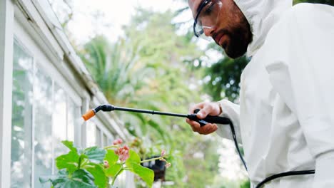 Man-spraying-pesticides-over-plant