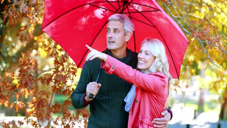 Couple-standing-under-umbrella-in-park
