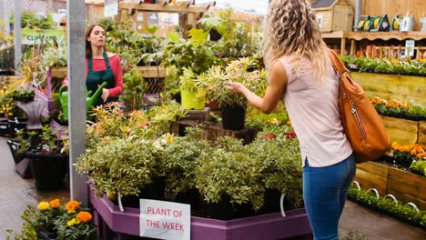 Female-florist-watering-flowers-with-watering-can-while-customer-looking-at-pot-plant