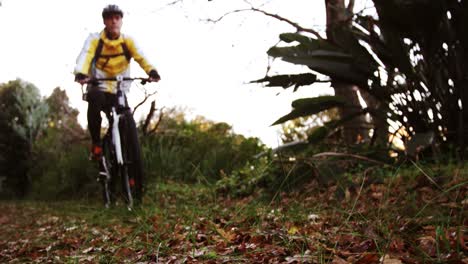 Male-mountain-biker-riding-in-the-forest