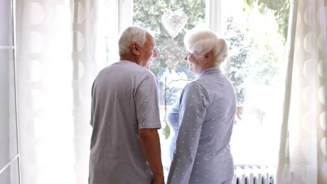 Senior-couple-standing-with-arms-around